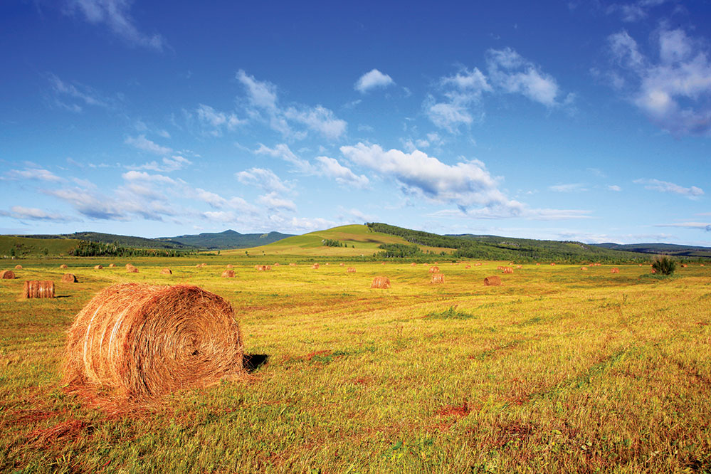 The most beautiful grasslands in China